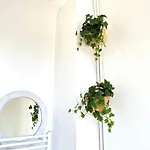Bienvenue A La Maison *